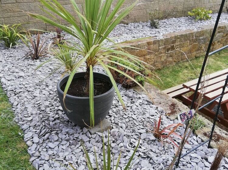 בית מלון כפרי The Captain Cook Inn