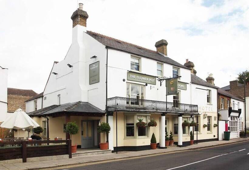 בית מלון כפרי Flower Pot