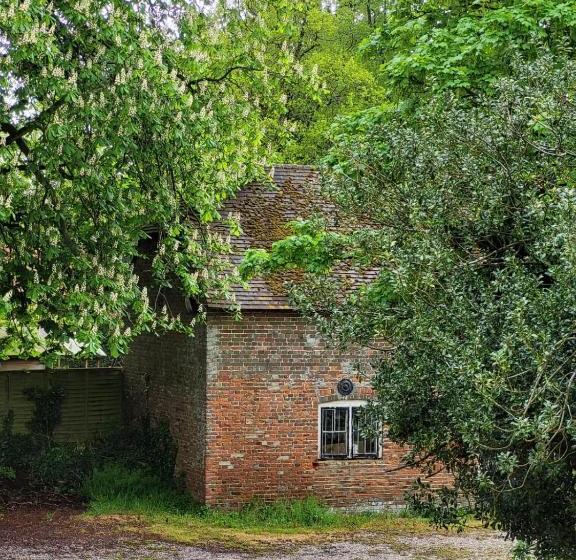 Отель The Flying Horse