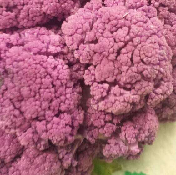 酒店 The Hightae Inn