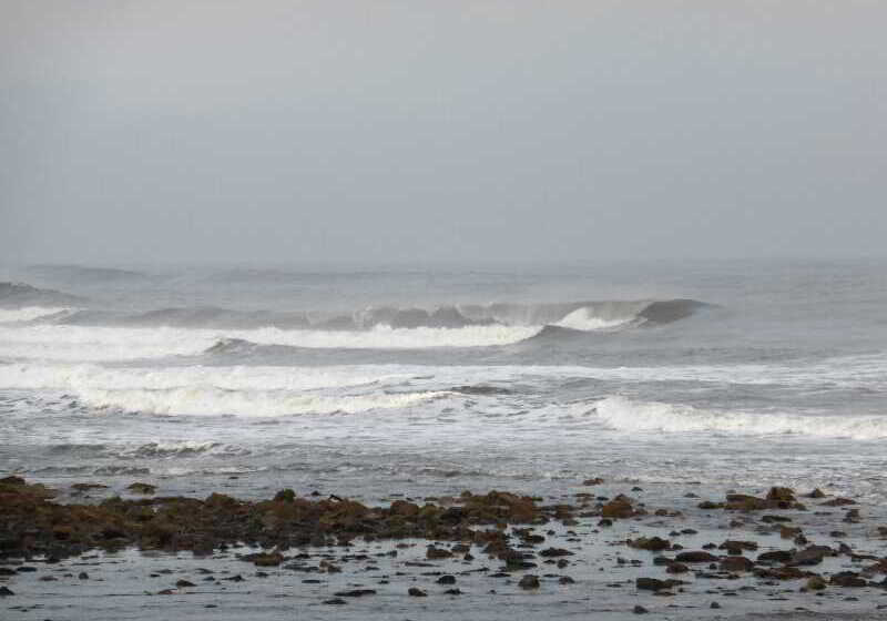 Отель The Kellbank