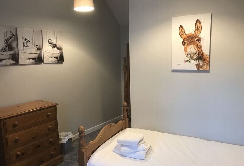 Отель The Kicking Dickey