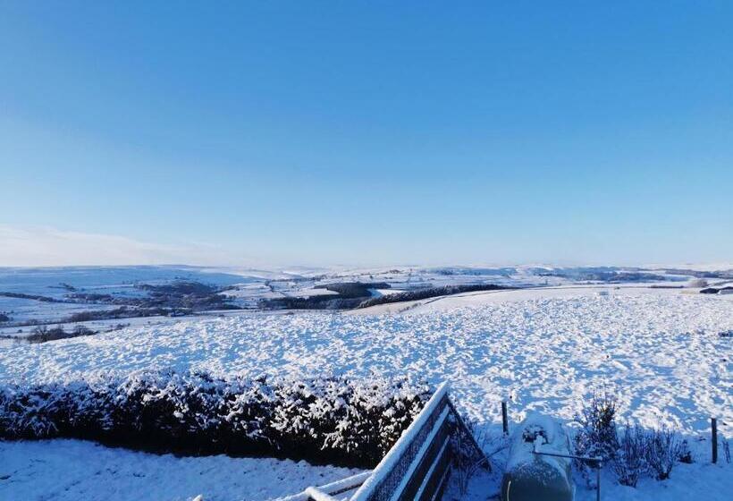 Отель The Manor House Inn