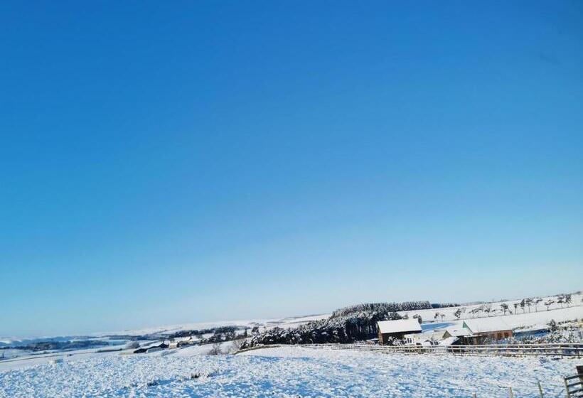 Отель The Manor House Inn