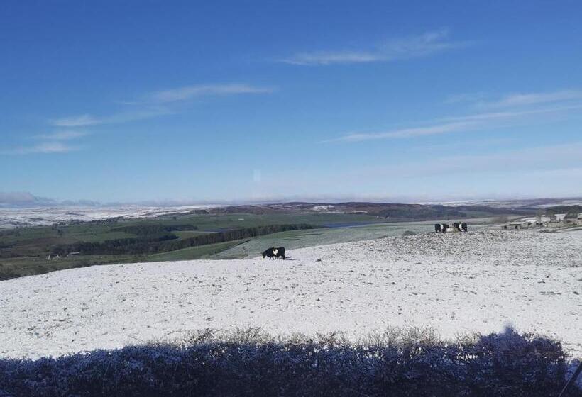 Отель The Manor House Inn