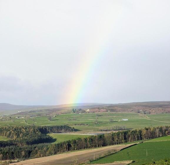 Отель The Manor House Inn