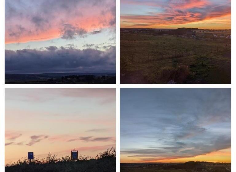 Отель The Manor House Inn