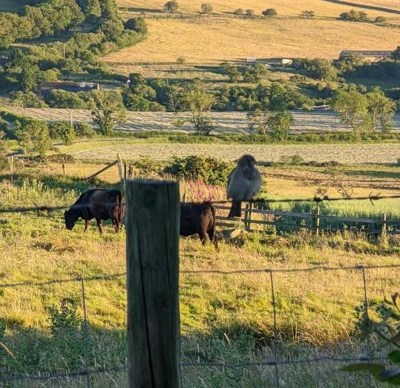 Отель The Manor House Inn