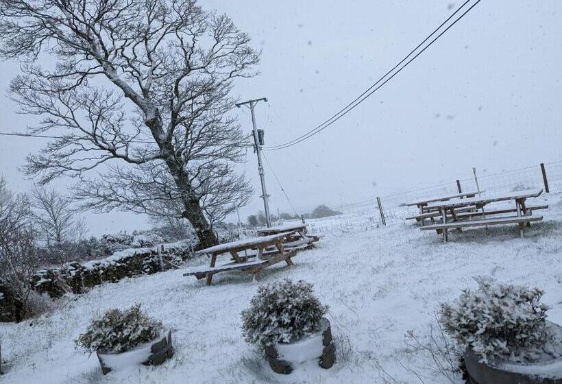 Отель The Manor House Inn