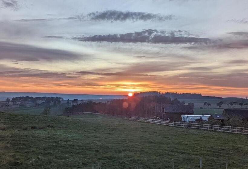 Отель The Manor House Inn