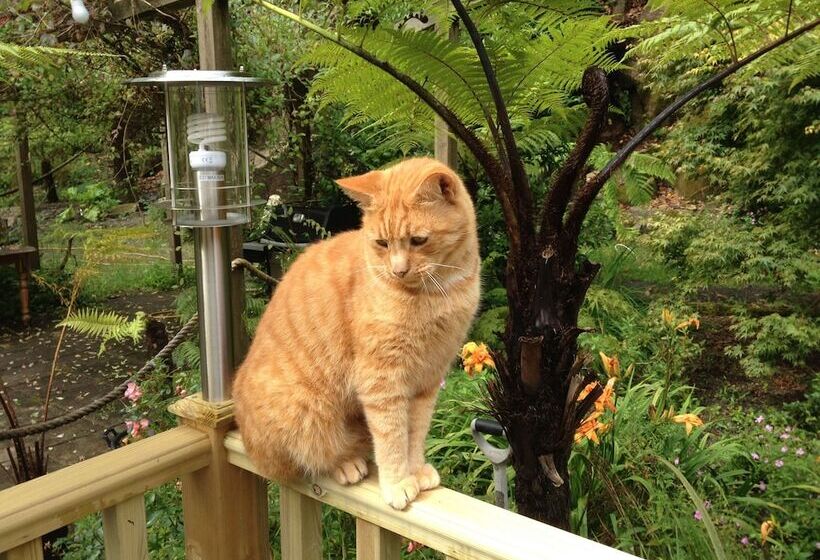 בית מלון כפרי The Waterwheel