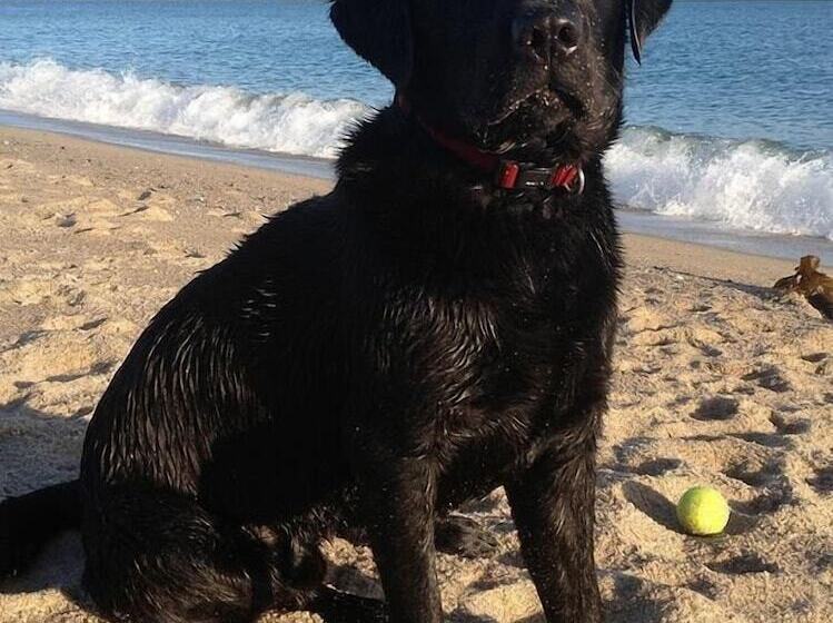 בית מלון כפרי The Waterwheel