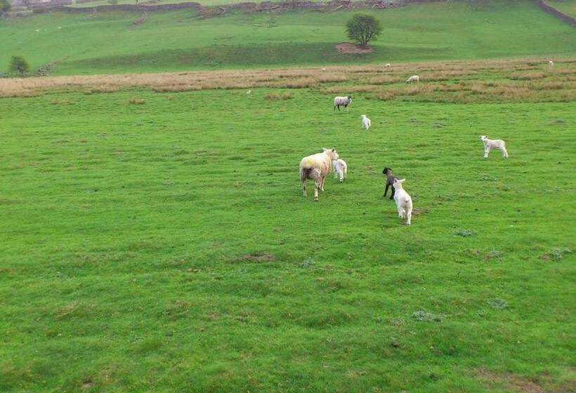 膳宿费 Arkleside Country Guest House