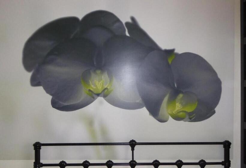 膳宿费 Bamboo Guest House