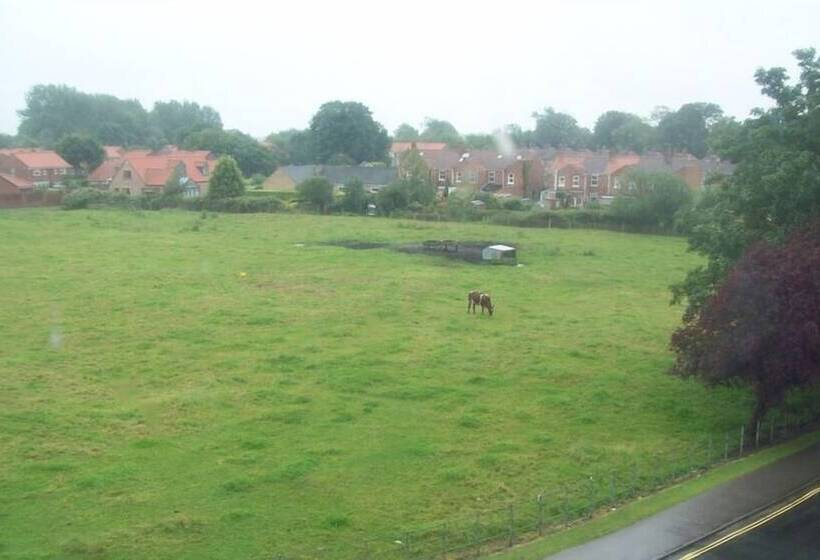 بنسيون Beverley Budget Inn