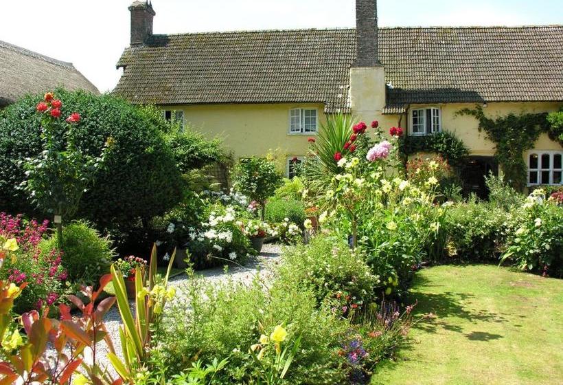 膳宿费 Exmoor Owl & Hawk Centre