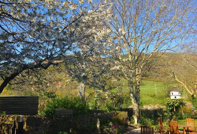 膳宿费 Exmoor Owl & Hawk Centre