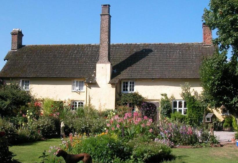 膳宿费 Exmoor Owl & Hawk Centre