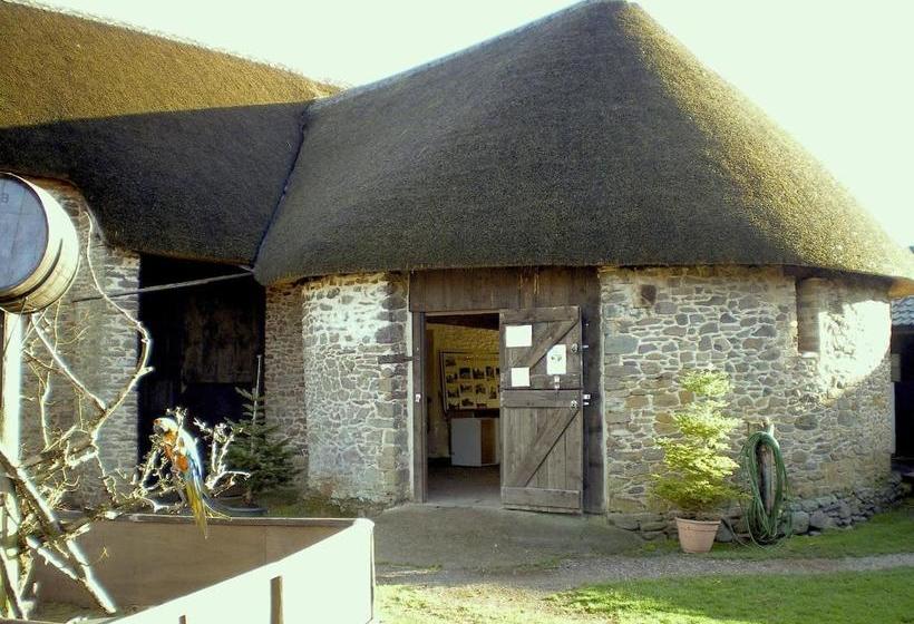 膳宿费 Exmoor Owl & Hawk Centre