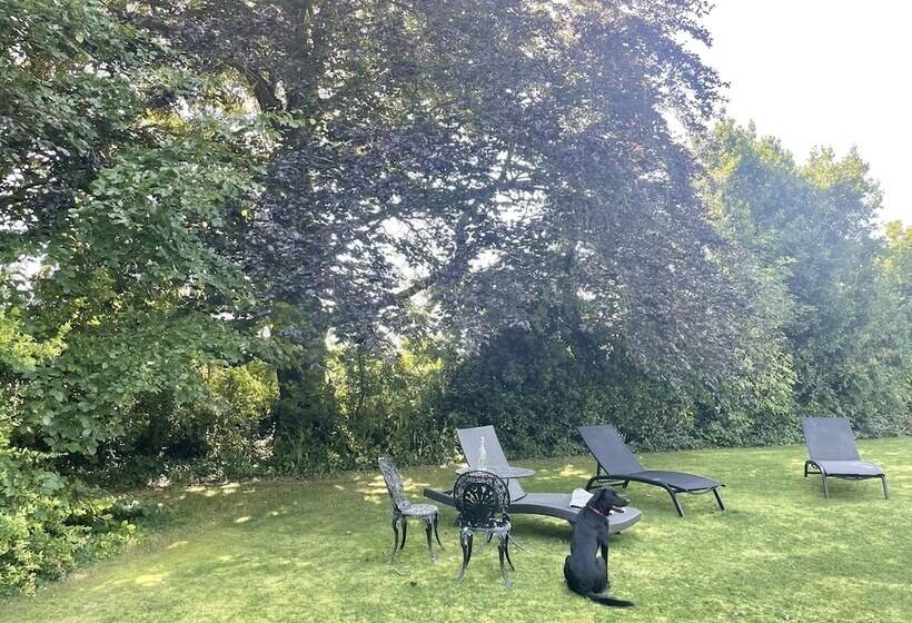 بنسيون The Mount Somerton