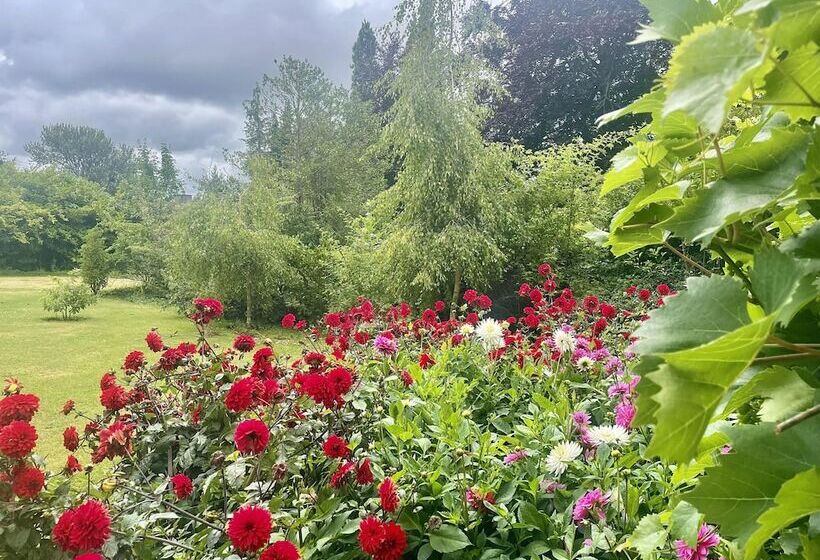 بنسيون The Mount Somerton