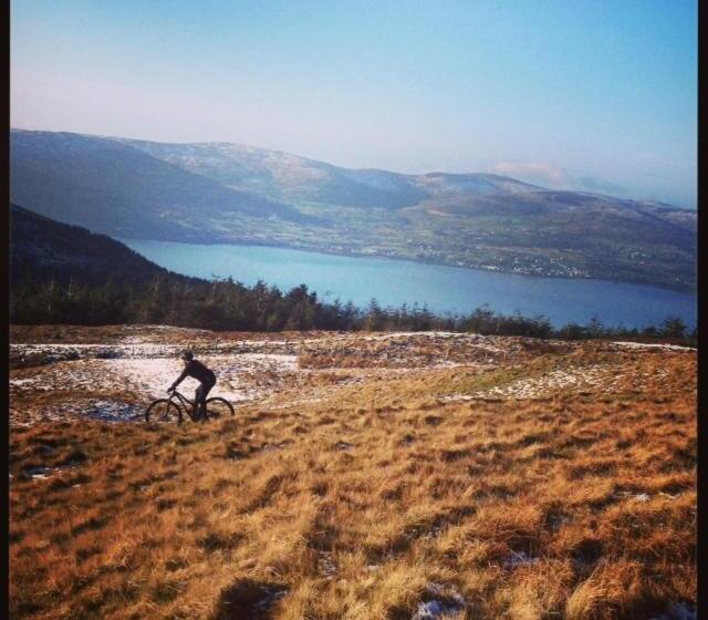 The Sands B&b Rostrevor