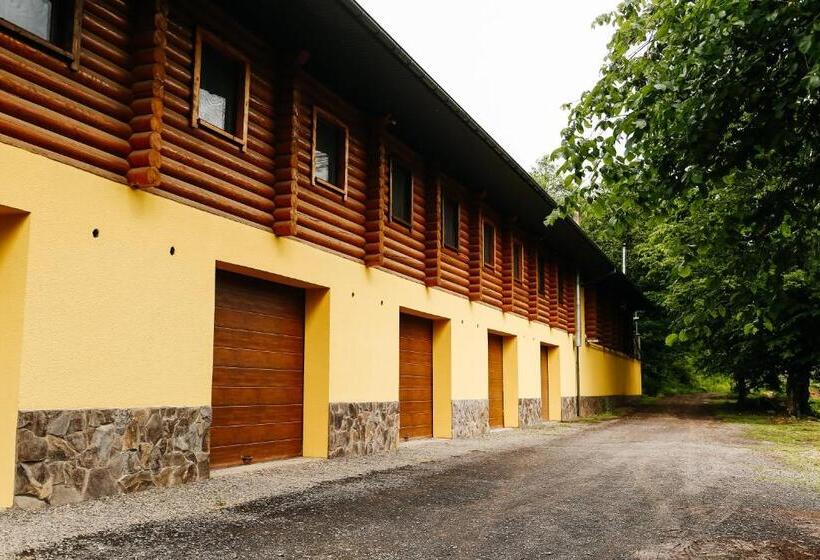 Общежитие Chudodievo In Chynadievo Mini