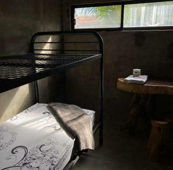 مبيت وإفطار Dumahostel