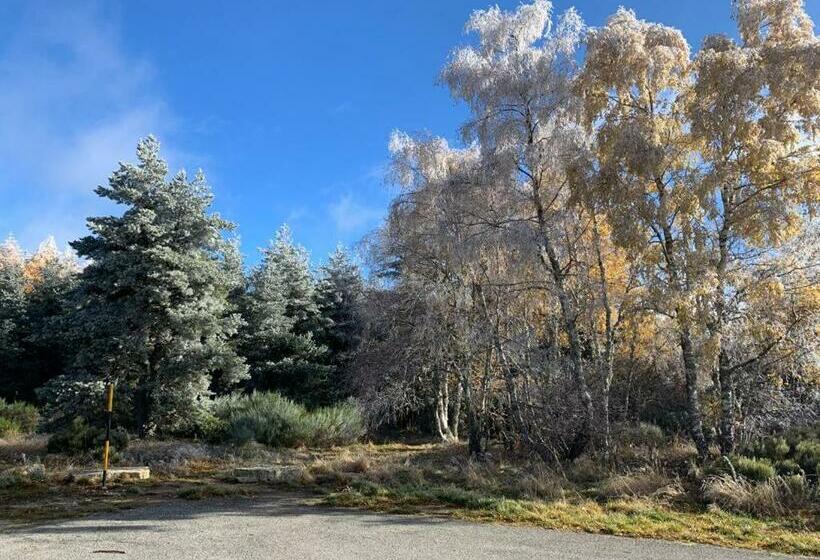 Отель Montlo Relais Des Cerfs