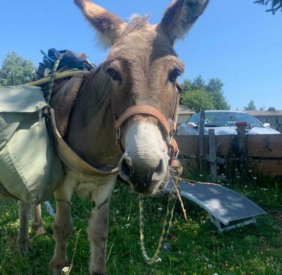 Отель Montlo Relais Des Cerfs