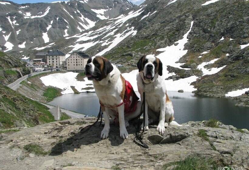 בית מלון כפרי Restaurant Du Crêt