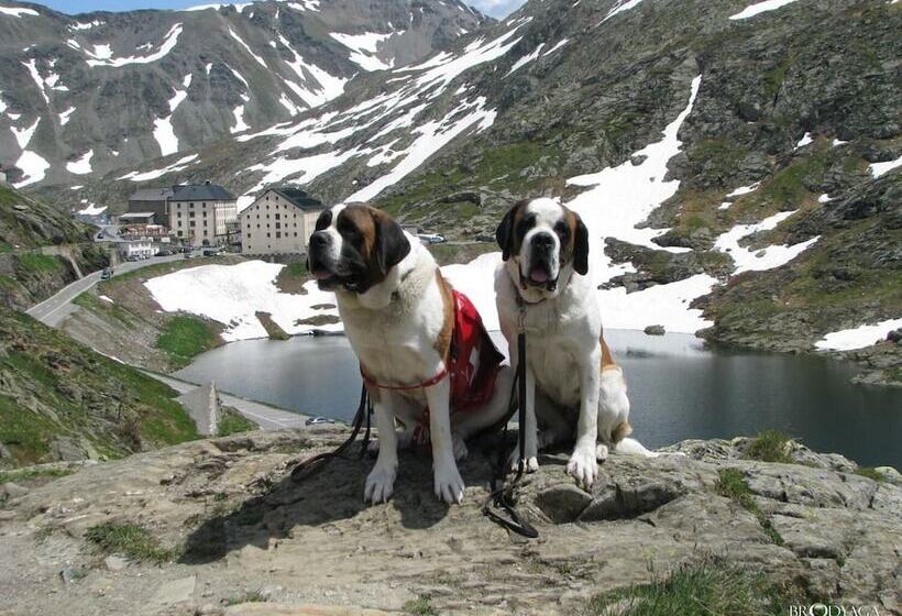 בית מלון כפרי Restaurant Du Crêt