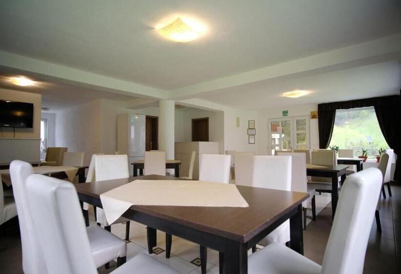 Pensiunea Padurea Verde