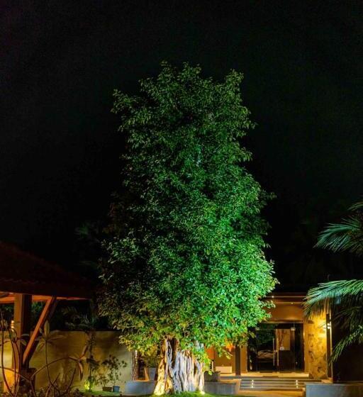 酒店 Blue Waves Kite Surfing Beach Resort