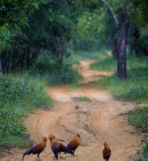 酒店 Blue Waves Kite Surfing Beach Resort