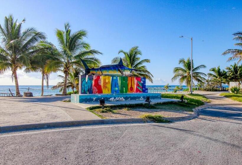 בית מלון כפרי Mahahual 2