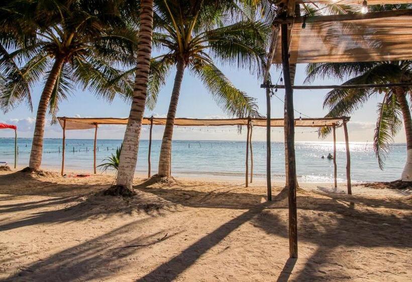 בית מלון כפרי Mahahual 2