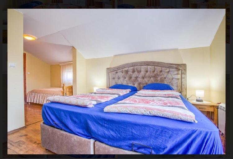 ペンション къща за гости карасански