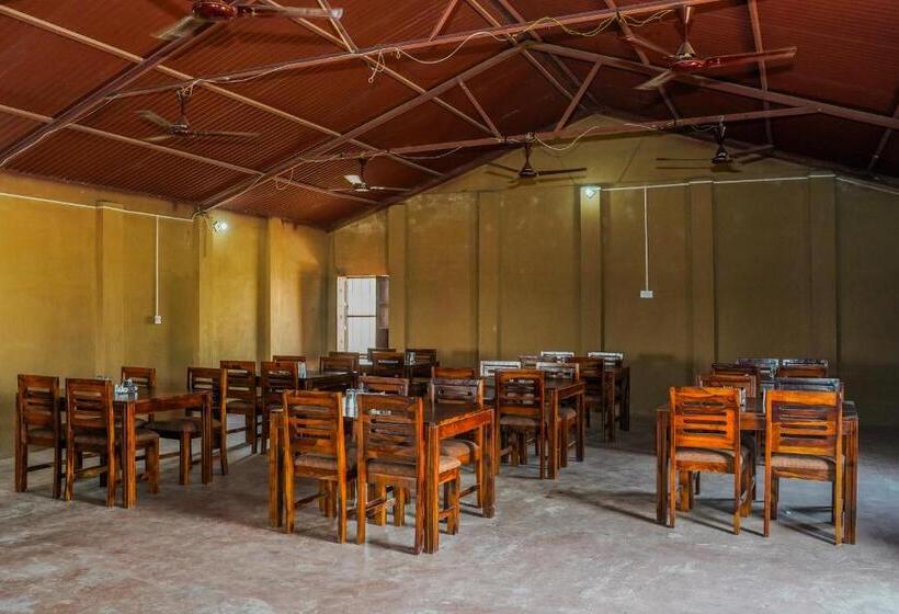 리조트 Mughal Sam Sand Dunes Desert Safari