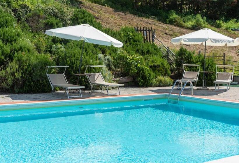 בית מלון כפרי Universal Harmony   Cardellino