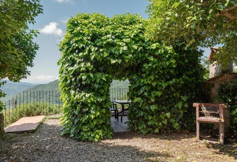 ホテル Universal Harmony   Usignolo