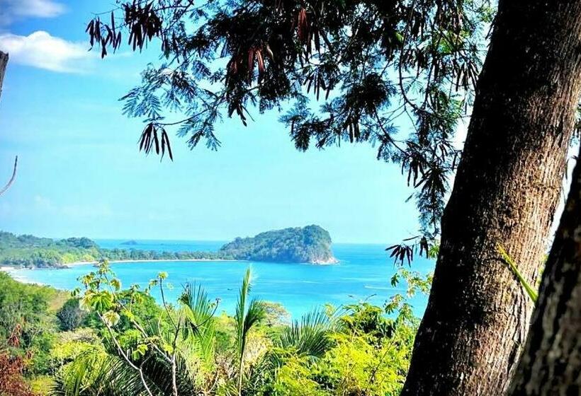 Pura Vida Hostel Manuel Antonio