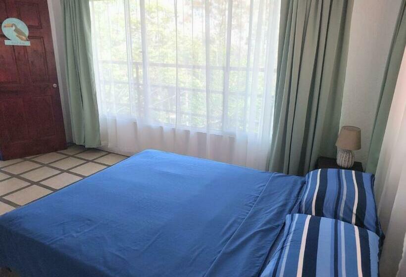 Pura Vida Hostel Manuel Antonio