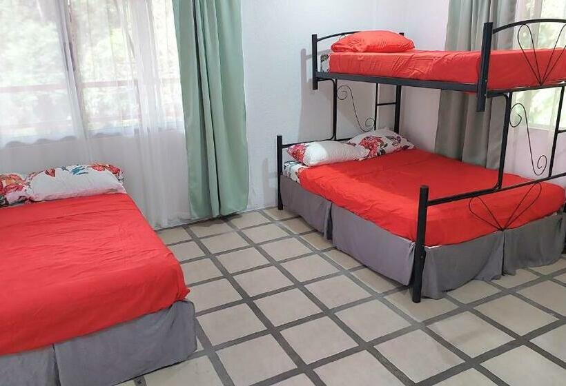 Pura Vida Hostel Manuel Antonio