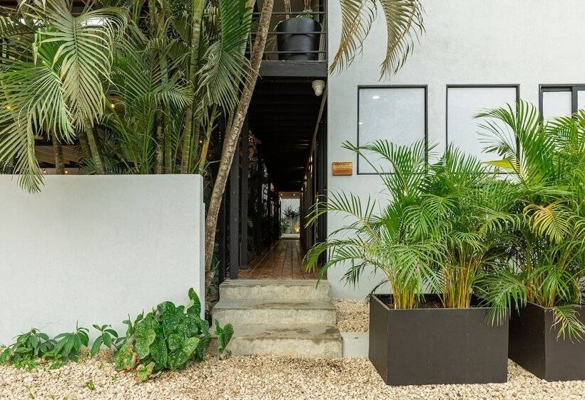 酒店 Ventura Santa Teresa