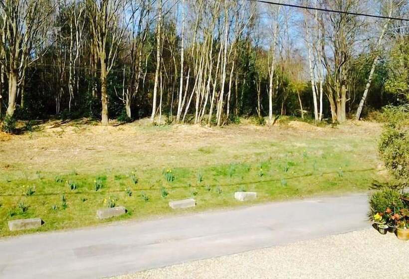 Abacus Bed And Breakfast, Blackwater, Hampshire