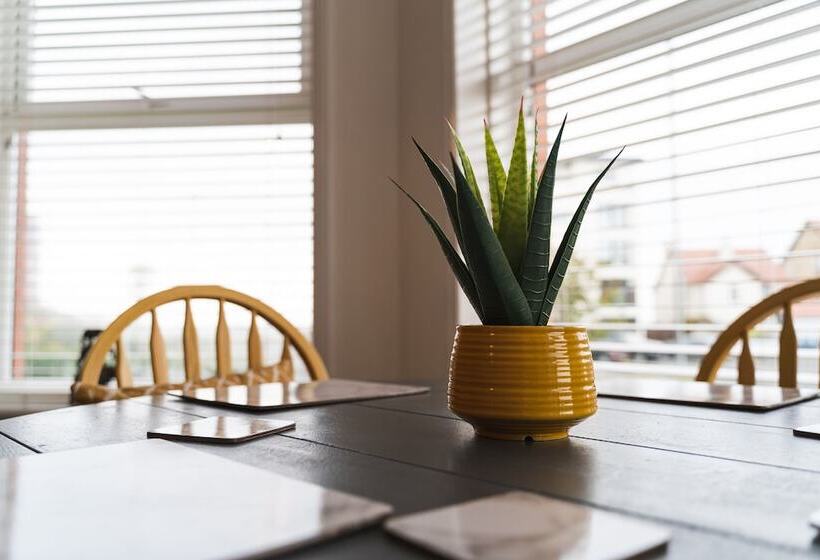 Beachmount Holiday Apartments