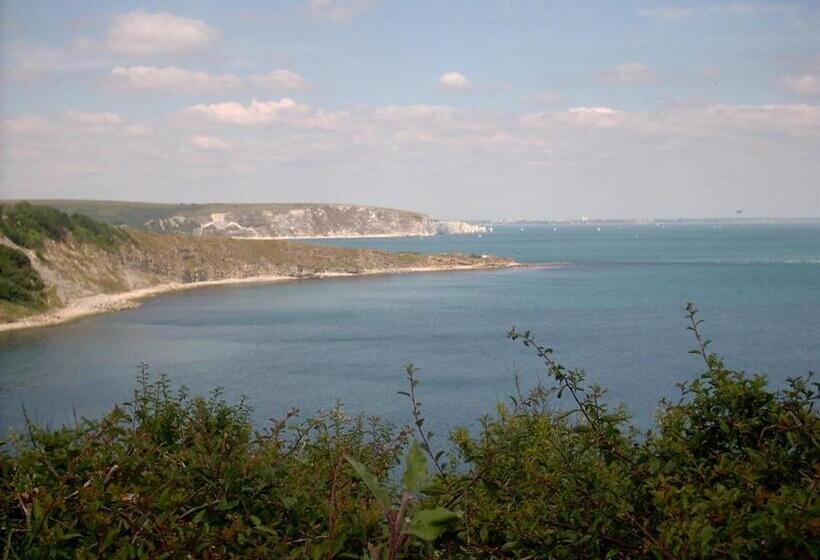 ベッドアンドブレックファースト Amberlea Guest House