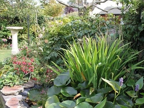 مبيت وإفطار Avon Breeze