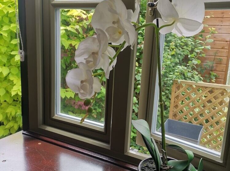 Bed and Breakfast The Babbling Brook